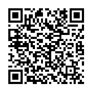 与另一海拔高度达到一千五百九十二米的弯弓峰遥遥相对二维码生成