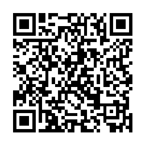 与君家的另外两位仙帝以相应的阵形围绕在何宇仙帝周围二维码生成