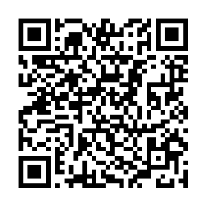 与唐劫对战的那名血河分身哈哈狞笑着挥舞大手压下二维码生成