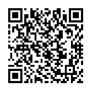 与四个密藏之中找不到生命果实与上古魂石时的心情一样二维码生成