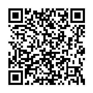 与土著骑兵正在簇拥着一队豪华的马车出行视察二维码生成