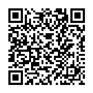 与在小路中可怜兮兮哀求的样子完全就是两个人一样二维码生成