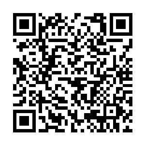 与大西洋帝国中洛克菲勒家族城堡下的地下室极像二维码生成