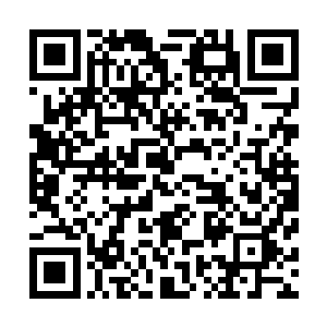与天地之力合在一起在身前凝聚成一面直径三米的圆形护盾二维码生成