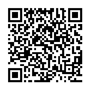 与好不容易从虎背熊腰的克莱尔怀里逃出来的张东城再度拥抱二维码生成