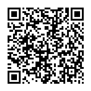 与实验相关的所有内容都应由一名伦理道德委员会的代表亲自监控二维码生成