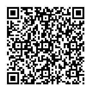 与小熊相处的这几天也清楚的知道他人虽小但脑袋瓜却要比很多成年人还要心眼多二维码生成