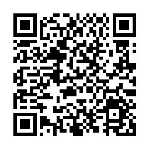 与帝王神器相撞的金色剑气和完全由白色烈焰所化的神凤也消散二维码生成