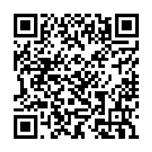 与平时叶凡在学校里见到的自有一翻别样的味道二维码生成