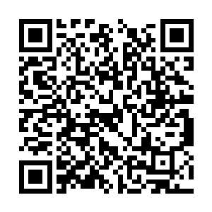 与幼儿园她同班同学和他们朋友的同龄小孩子玩耍二维码生成