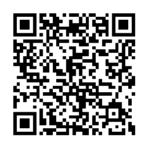 与张远山一起挡下了隐皇堡堡主的绝大部分进攻二维码生成