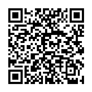 与当初在天元大陆上所见的那个皓月仙子联系在一起二维码生成