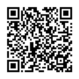 与情郎杜预总算是得到了很久很久无人打扰的平静时光二维码生成