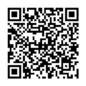 与我们光明圣殿作对多年的武魂一脉终于要灭尽了二维码生成