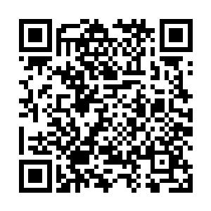 与战队和曾经一起并肩作战了好几年的队友们分道扬镳二维码生成