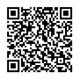 与无常夏笙庄不凡等人都是南域后起之秀中的佼佼者二维码生成