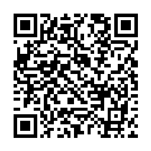 与日本代表团就库页岛以及远东势力范围的分割一案二维码生成