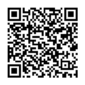 与李澈定下赌约之后便兴奋的拉着曹莹往那些灯谜而去二维码生成