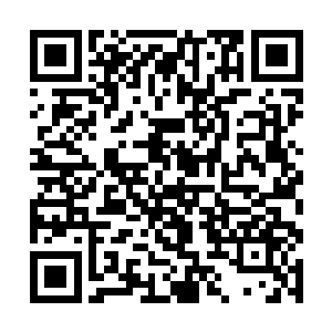 与此同时一只笼罩方圆上千里的巨大的手掌凭空而将二维码生成