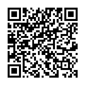 与此同时一道血光也顺着那巨蚊的长嘴没入到了那冰霜巨人体内二维码生成