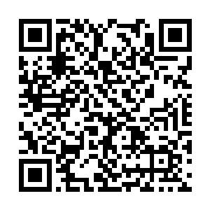 与此同时三个人也直接朝着卧龙山的深处飞掠而去二维码生成