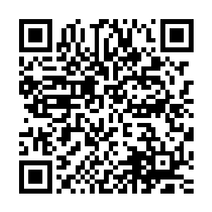 与此同时令人胆颤的能量风暴也是在下一刻瞬间席卷四面八方二维码生成