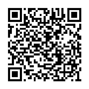 与此同时其余的几个龙族高手也纷纷的冲了上去二维码生成