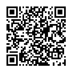 与此同时手掌有点不老实的抚摸着温柔雪如水一般的小手二维码生成