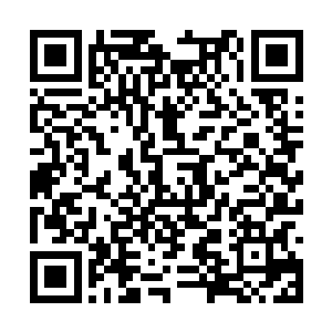 与此同时梓箐识海中传来小鼎故作淡定平静的声音二维码生成