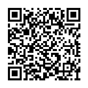 与此同时独木桥上面也是发出了一道微弱的光芒二维码生成