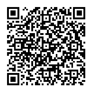 与此同时由漫威所掀起的新人导演浪潮更是成为了社会的主流――铁打的漫画改编电影二维码生成