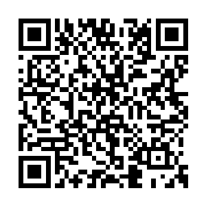 与此同时胖子的双脚已经踹在了那些劫匪的身上二维码生成
