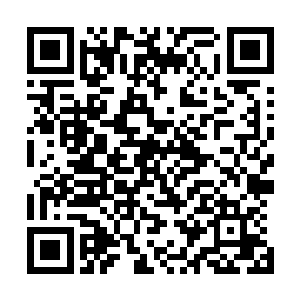 与此同时这道冰幕的开始自己放射着冰棱阻隔龙傲天的靠近二维码生成