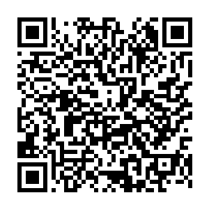 与此同时那些被食脑虫吞噬了灵魂的傀儡近卫也仿佛是没电的玩偶一样二维码生成