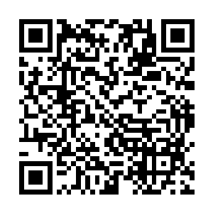 与此同时龙傲天也感觉一股无比虚弱的感觉从心底升起二维码生成