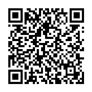 与此同时龙傲天的声望也是再一次提升到了一个更高的层次二维码生成