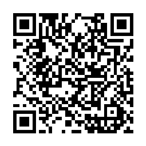 与洛杉矶这座全美第二大城市的繁华景象格格不入二维码生成