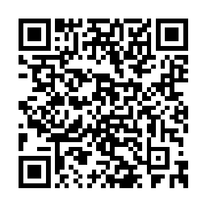 与狼王的联系肯定是交给心腹来办甚至亲自完成二维码生成