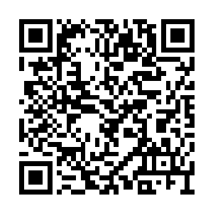 与白色月牙并排而坐的皮野绫率先打开了话匣子二维码生成