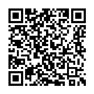 与秩序的这场正面对决……或许比决赛还要重要二维码生成