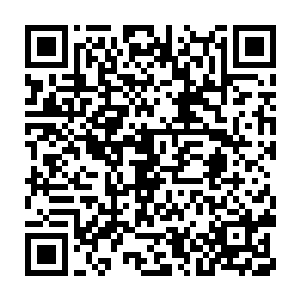 与荣轩对视一眼后再看一眼梗着脖子站在中间坚持自己有理的小熊二维码生成