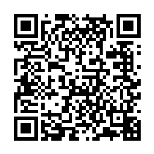 与越国相邻的元武国和紫金国的两个国家的修仙者二维码生成