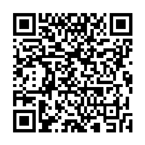 与这里的满天飞雪以及充盈在天地间的本源之力相碰撞时二维码生成