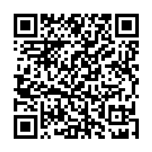 与那只曾经被星月剑圣干掉的深海巨妖在魂劫之境的战斗二维码生成