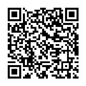 与那祖神之树化作的种子遁走的方向竟是出奇的一致二维码生成