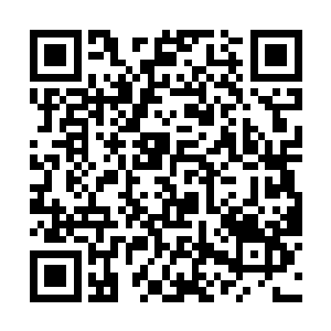 与金一南之前所在宫殿处于同一海拔的另两座宫殿中二维码生成