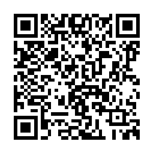 与韦恩带着非要跟来的小翻译胡家贺走出了帐篷二维码生成