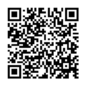 与颜洛儿和身影迅速清晰起来的莫崎都保持着几米的距离二维码生成