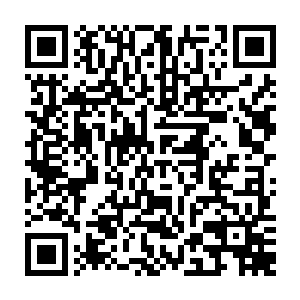 与黑莲圣人曾经借助地书布设十日阵势的效果类似……她在寻找可以上来的通道二维码生成