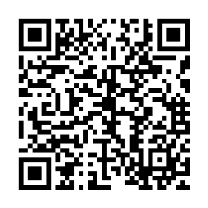 专业人士们更愿意将这种情况归结于雨果所带来的附加话题效果二维码生成